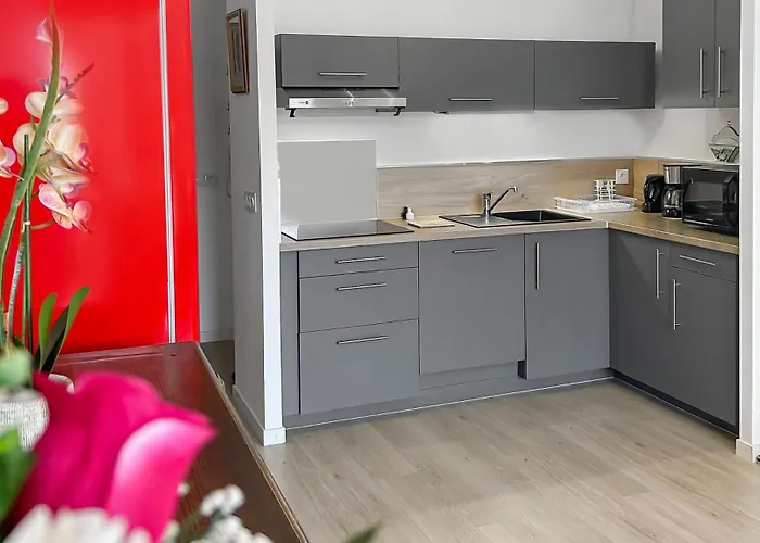 公寓 Balcon Prive & Deco Elegante 勒芒